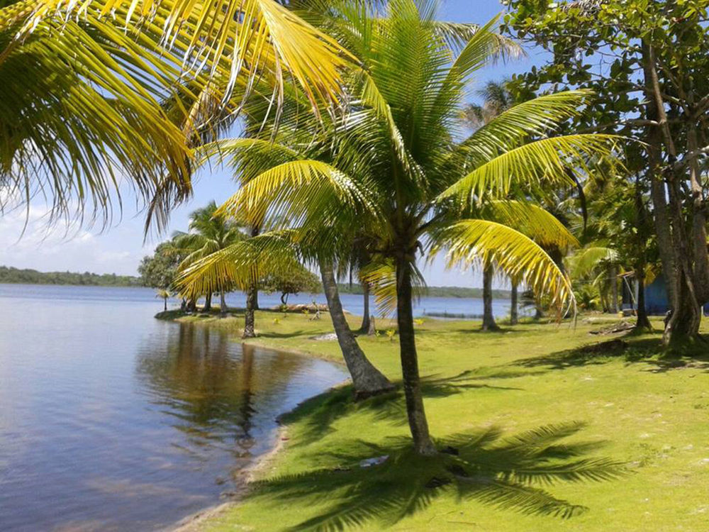 Htl Tubarao Otel Barra Grande  Dış mekan fotoğraf