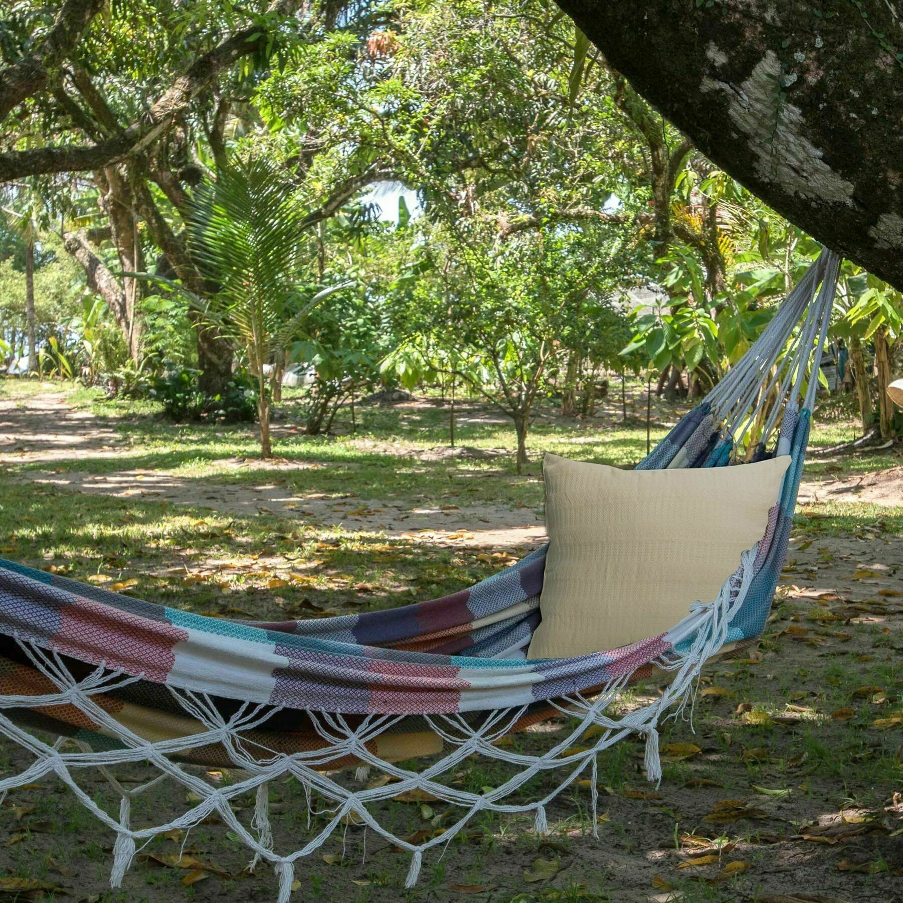 Htl Tubarao Otel Barra Grande  Dış mekan fotoğraf