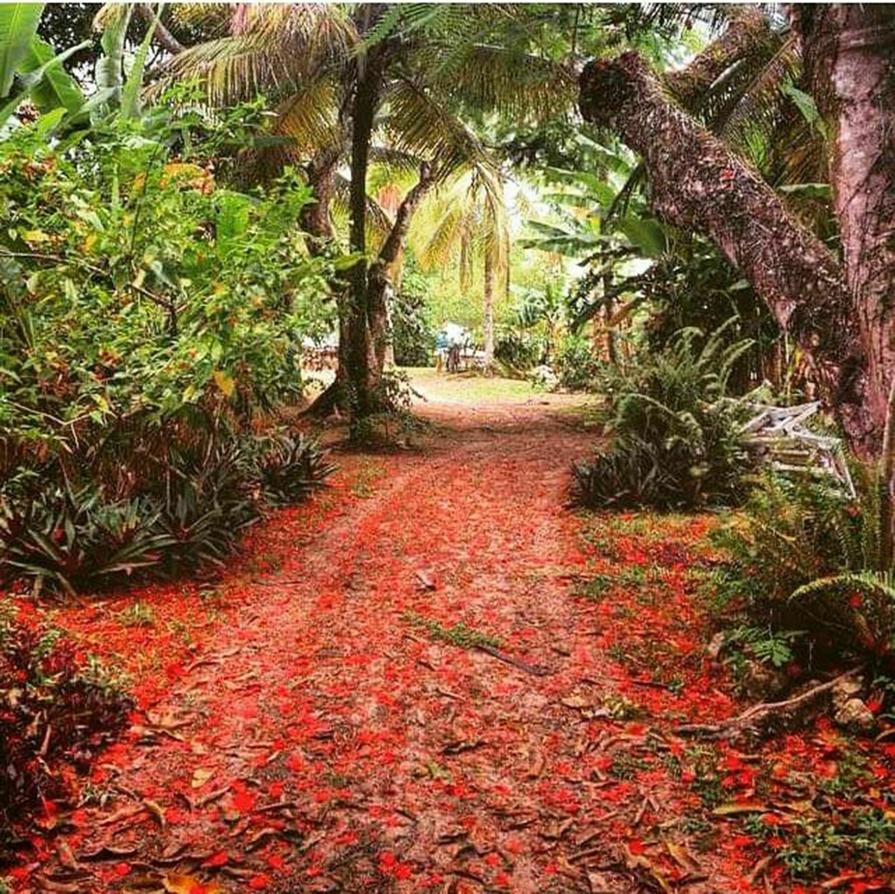 Htl Tubarao Otel Barra Grande  Dış mekan fotoğraf